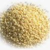 Biodegradable Resin - Image 2