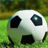 Sports Goods - Image 4