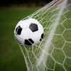 Sports Goods - Image 5